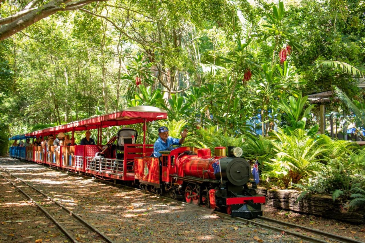 Currumbin Wildlife Sanctuary Gold Coast Ticket - image 10